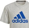 ADIDAS Kinder Shirt T-Shirt Badge of Sport Sum